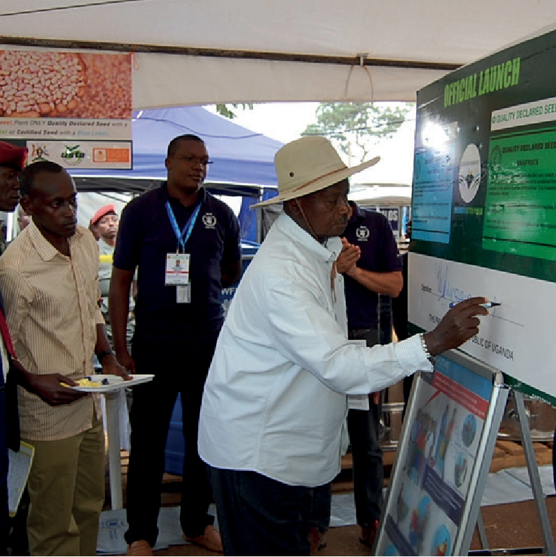  Resilient Seed System Program