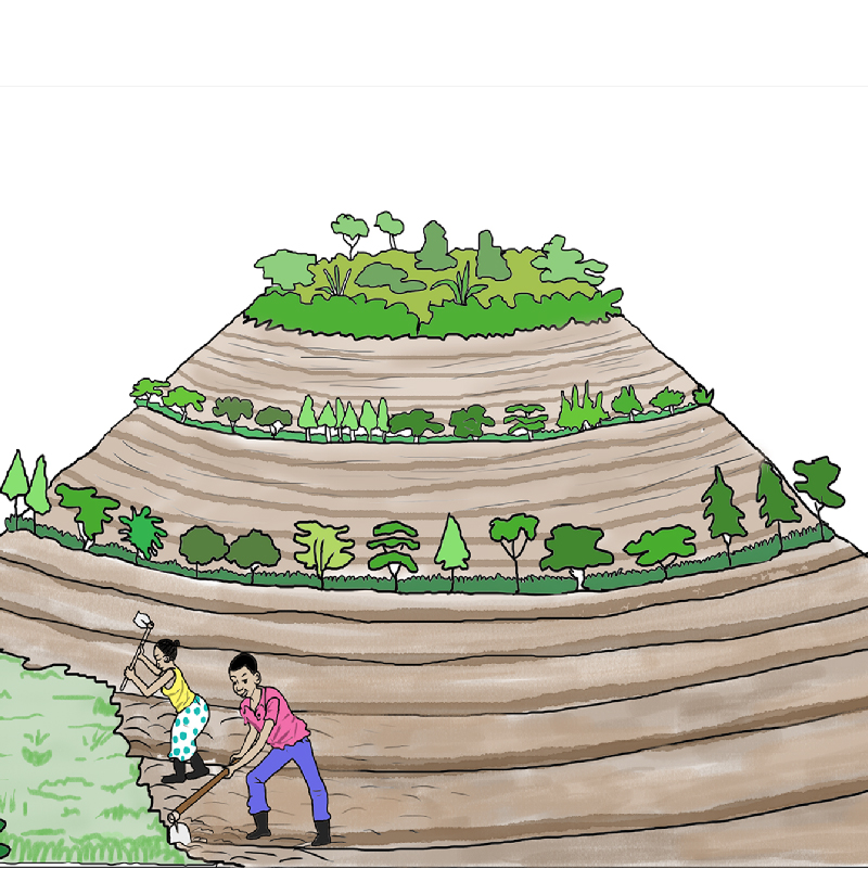 Sustainable Agri-Food System Program