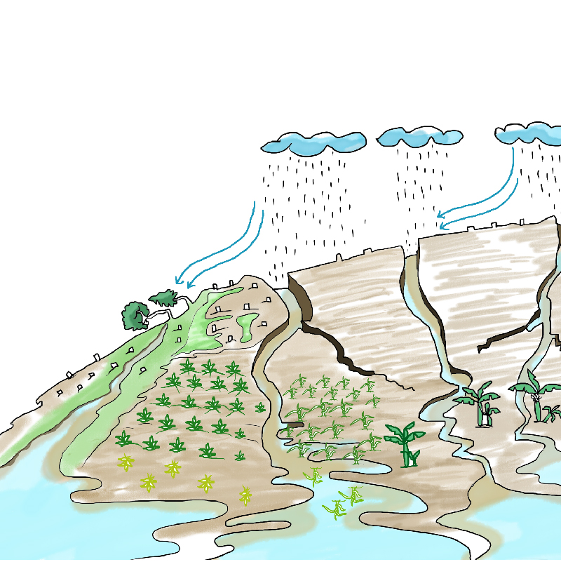 Sustainable Natural Resource Management (SDG 2, 13 & 15)