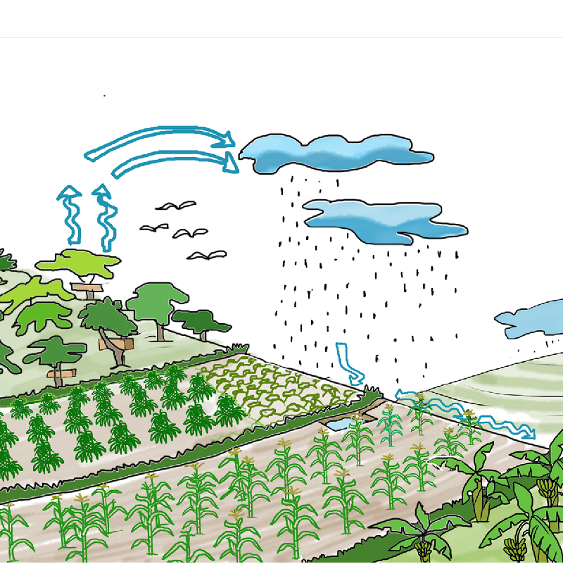  Sustainable Natural Resource Management (SDG 2, 13 & 15)